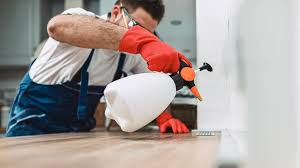 Best Real Estate Pest Inspections  in Bisbee, AZ